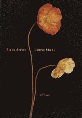 bokomslag Black Series: Poems