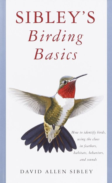 David Allen Sibley - Sibley's Birding Basics, Häftad