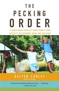 bokomslag The Pecking Order: A Bold New Look at How Family and Society Determine Who We Become