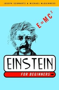 bokomslag Einstein for Beginners