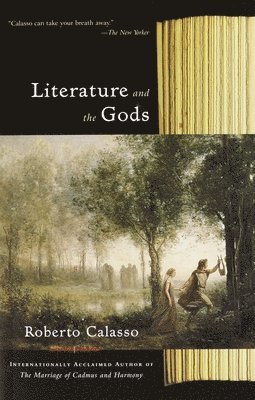 Roberto Calasso - Literature and the Gods, Häftad