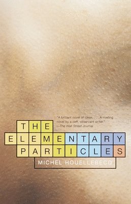 The Elementary Particles 1