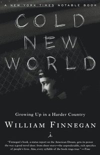 bokomslag Cold New World: Growing Up in Harder Country