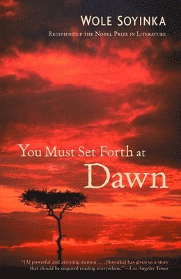 You Must Set Forth at Dawn: A Memoir 1