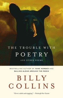 bokomslag The Trouble with Poetry