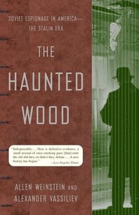bokomslag The Haunted Wood
