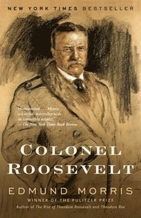 bokomslag Colonel Roosevelt