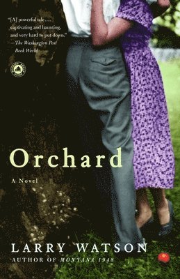 Orchard 1