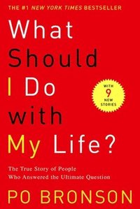 bokomslag What Should I Do with My Life?: The True Story of People Who Answered the Ultimate Question