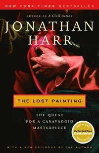 bokomslag The Lost Painting: The Quest for a Caravaggio Masterpiece