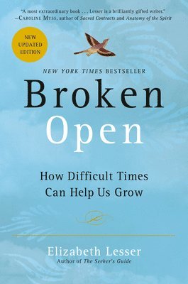 bokomslag Broken Open