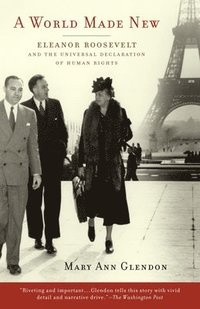 bokomslag A World Made New: Eleanor Roosevelt and the Universal Declaration of Human Rights