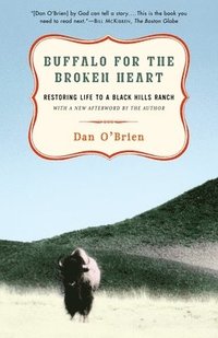 bokomslag Buffalo for the Broken Heart: Restoring Life to a Black Hills Ranch