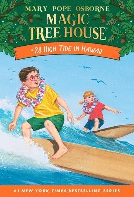 bokomslag High Tide in Hawaii