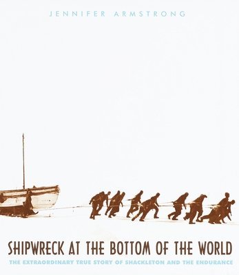 Shipwreck at the Bottom of the World 1