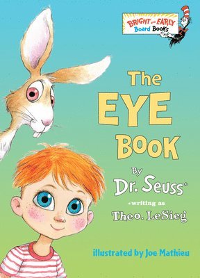 bokomslag The Eye Book