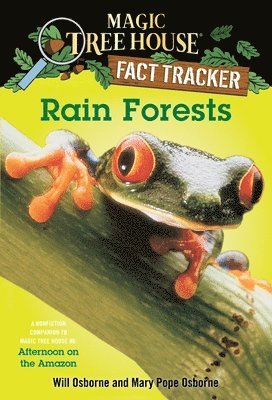 Rain Forests 1