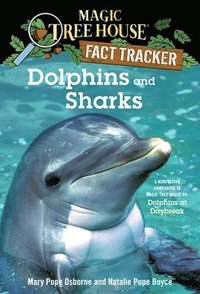 bokomslag Dolphins and Sharks