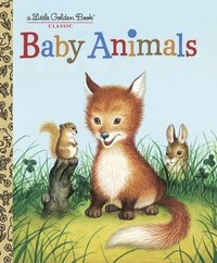 bokomslag Baby Animals