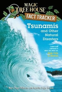 bokomslag Tsunamis and Other Natural Disasters