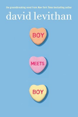 David Levithan - Boy Meets Boy, Häftad