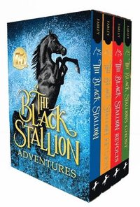 bokomslag The Black Stallion Adventures