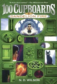 bokomslag Dandelion Fire