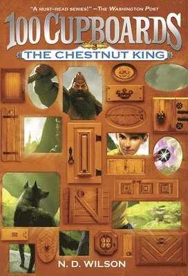bokomslag The Chestnut King (100 Cupboards Book 3)