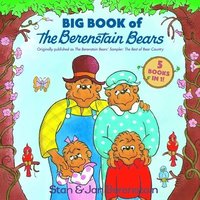 bokomslag Big Book of The Berenstain Bears