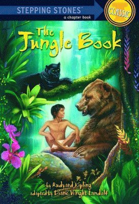 bokomslag Jungle Book