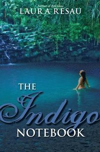 bokomslag The Indigo Notebook