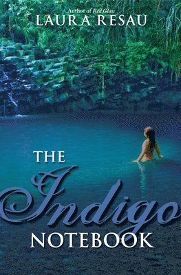 The Indigo Notebook 1