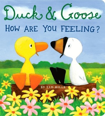 bokomslag Duck & Goose, How Are You Feeling?