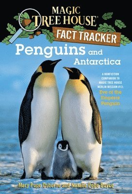 Penguins and Antarctica 1