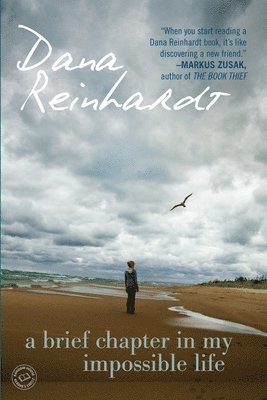 Dana Reinhardt - A Brief Chapter in My Impossible Life, Häftad