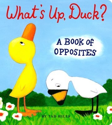 Tad Hills - What's Up, Duck?: A Book of Opposites, Kartonnage
