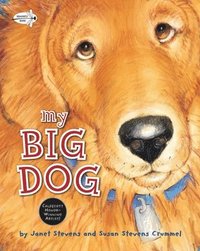 bokomslag My Big Dog