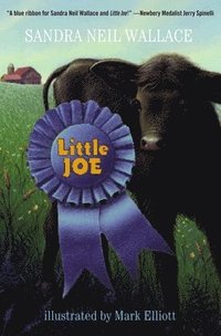bokomslag Little Joe