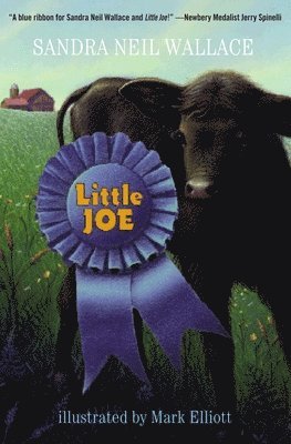 Little Joe 1