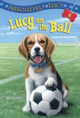 bokomslag Absolutely Lucy #4