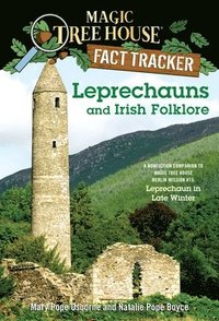 bokomslag Leprechauns and Irish Folklore