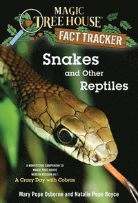 bokomslag Snakes and Other Reptiles