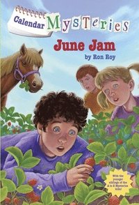 bokomslag Calendar Mysteries #6: June Jam