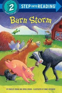 bokomslag Barn Storm