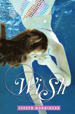 Joseph Monninger - Wish, Häftad
