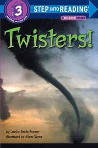 bokomslag Twisters!