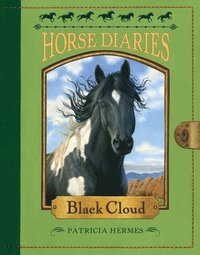 bokomslag Horse Diaries #8: Black Cloud