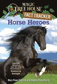 bokomslag Horse Heroes
