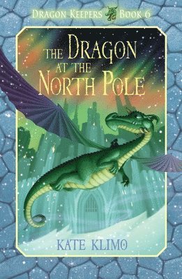 bokomslag Dragon Keepers #6: The Dragon at the North Pole