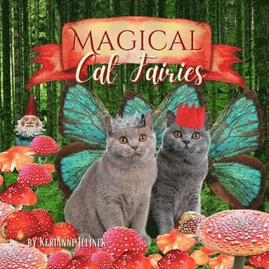 bokomslag Magical Cat Fairies